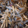 destructeur documents