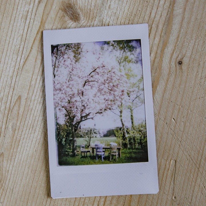 imprimante photo portable